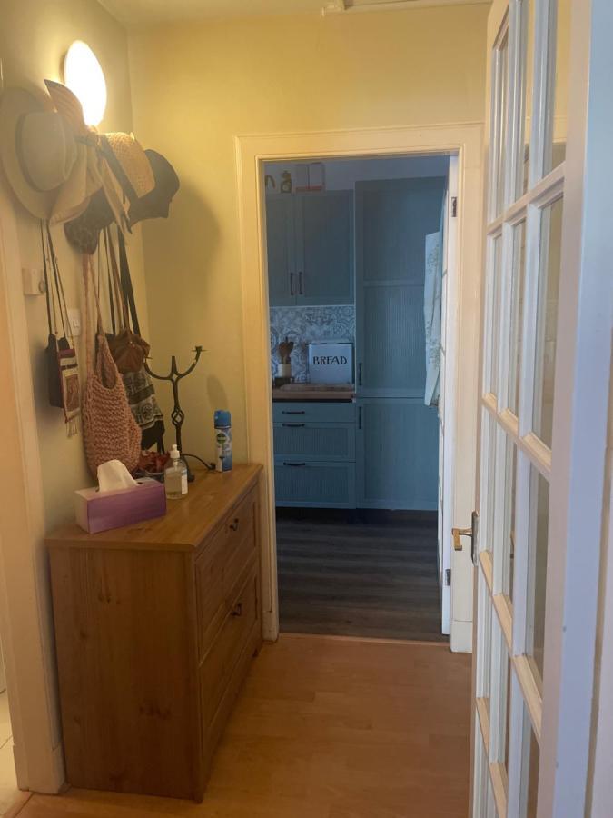 Flat Apartment